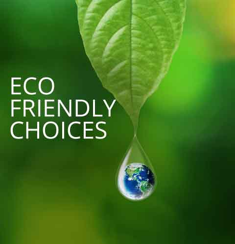 Eco Friendly Choices